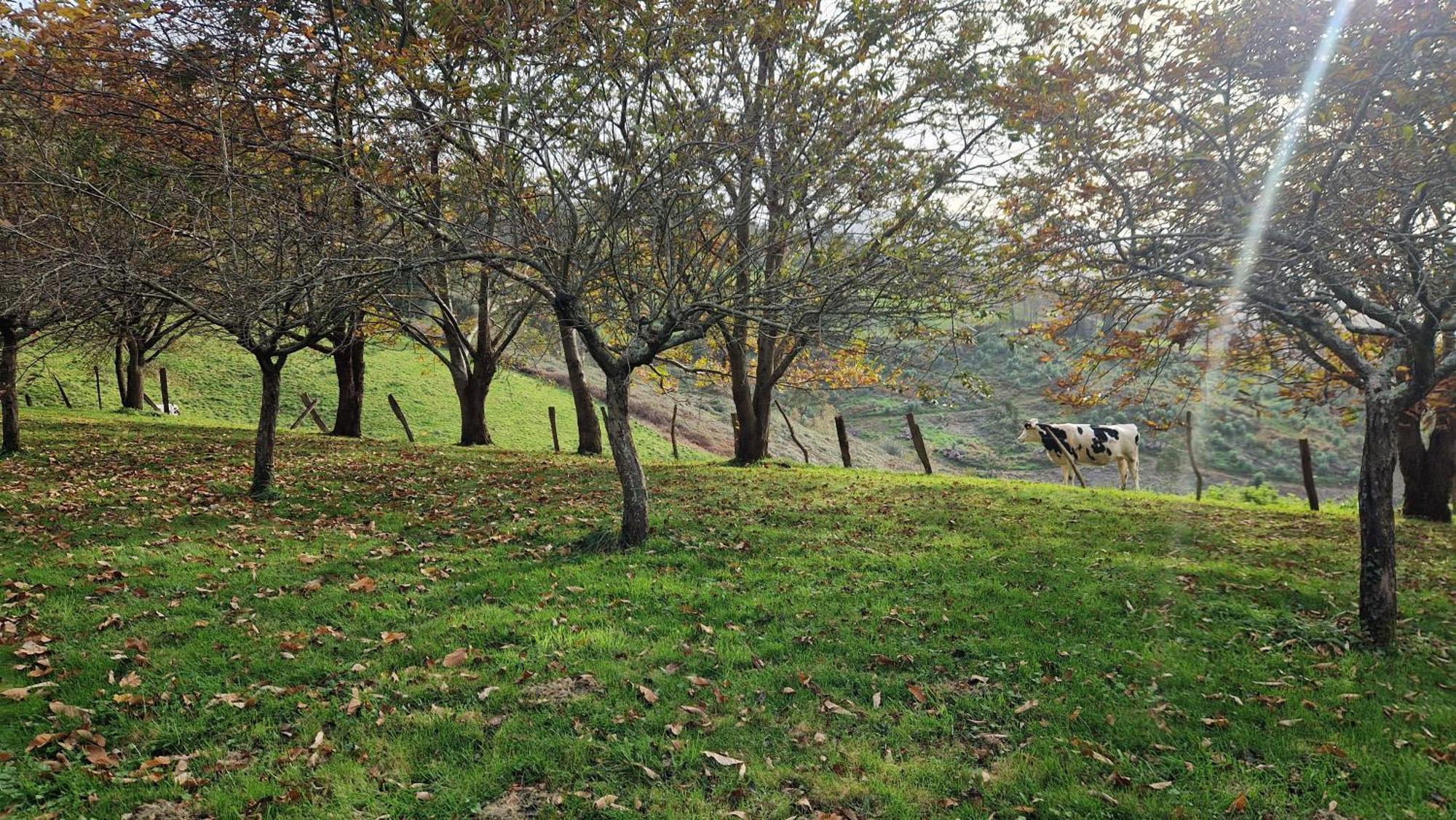 Casa Bezales En Ampuero Cantabria Экстерьер фото